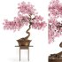 Bonsai spring flowers - Thumbnail 1