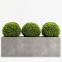 Boxwood Topiary Three Balls - Thumbnail 1