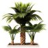 Palm Tree Set1 - Thumbnail 1