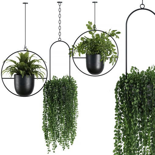 Hanging Indoor Plant – SetV1