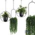 Hanging Indoor Plant – SetV1 - Thumbnail 1