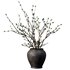 Dry Branches in black pot - Thumbnail 1