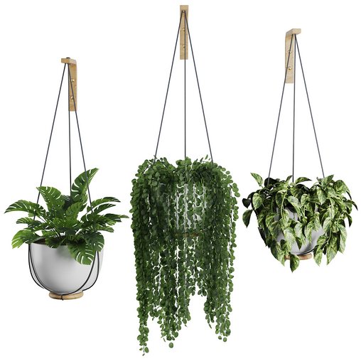Hanging Indoor Plant – SetV3