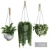 Hanging Indoor Plant – SetV3 - Thumbnail 1