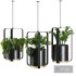 Hanging Indoor Plant – SetV4 - Thumbnail 1