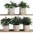 Plants on Shelf SetV5 - Thumbnail 1