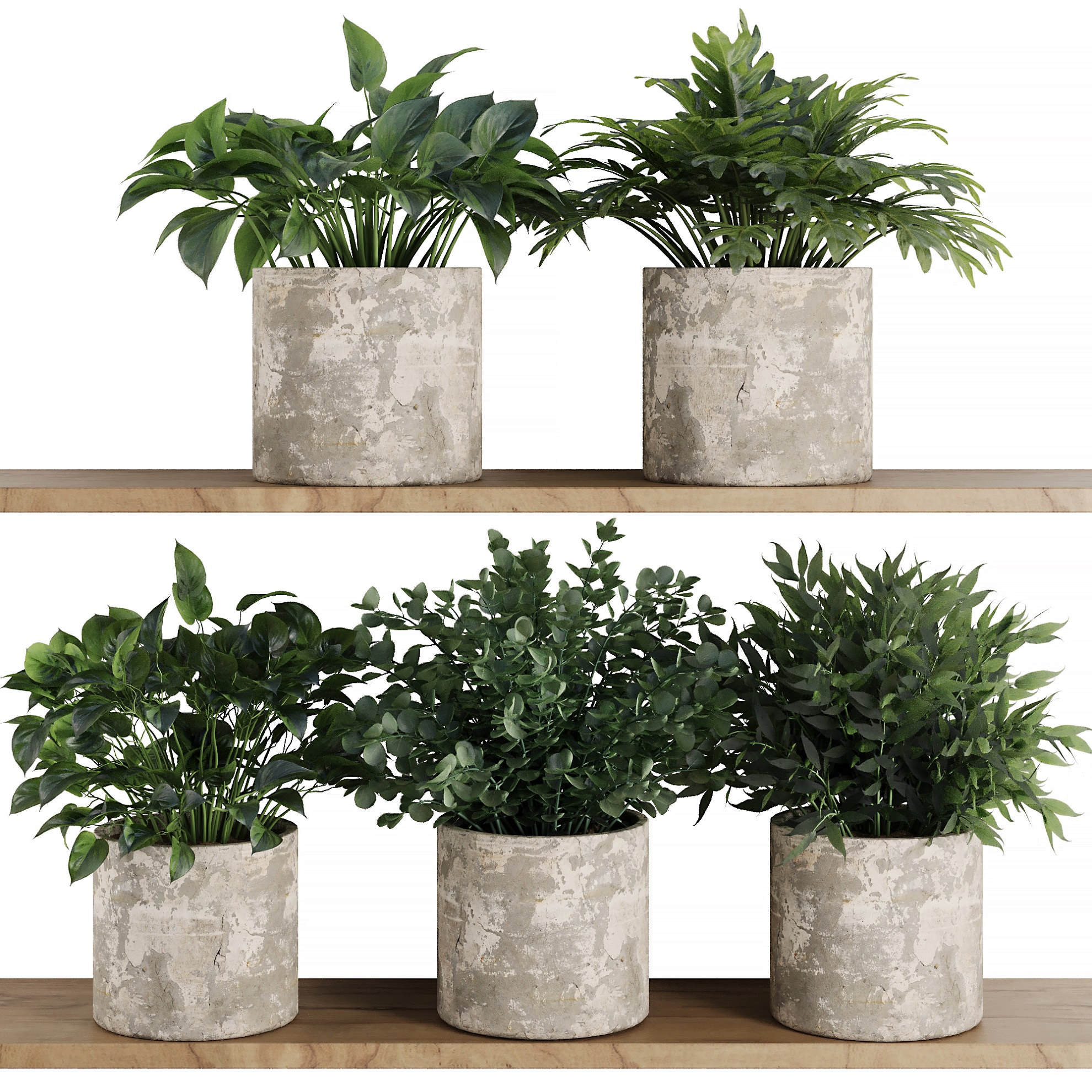 Plants on Shelf SetV5 Image 1