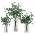 Eucalyptus Bouquet Set1 - Thumbnail 1