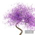 Bonsai purple flower - Thumbnail 2