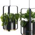 Hanging Indoor Plant – SetV4 - Thumbnail 2