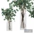 Eucalyptus Bouquet Set1 - Thumbnail 2