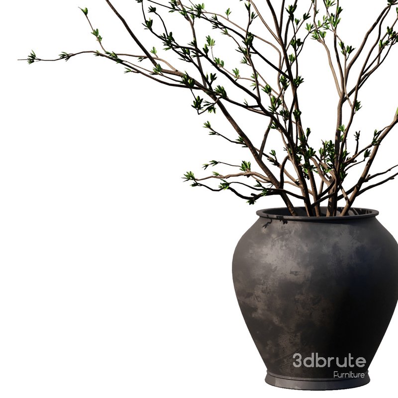 Dry Branches in black pot Image 2
