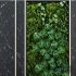 Green Wall – Vertical Garden Set1 - Thumbnail 1
