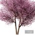 Spring Tree SetV1 - Thumbnail 2