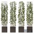 Ivy On Trellis – Set1 - Thumbnail 2
