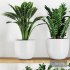 Plants on Shelf SetV3 - Thumbnail 2