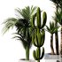 Indoor Plant SetV17 – Cactus Palm Ficus - Thumbnail 1