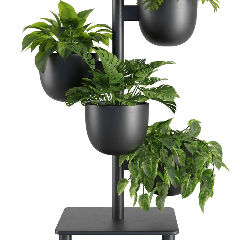 Indoor Plant Set V36 Image 2