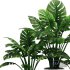 Indoor Plant SetV27 – Swiss Cheese - Thumbnail 3
