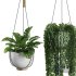 Hanging Indoor Plant – SetV3 - Thumbnail 3