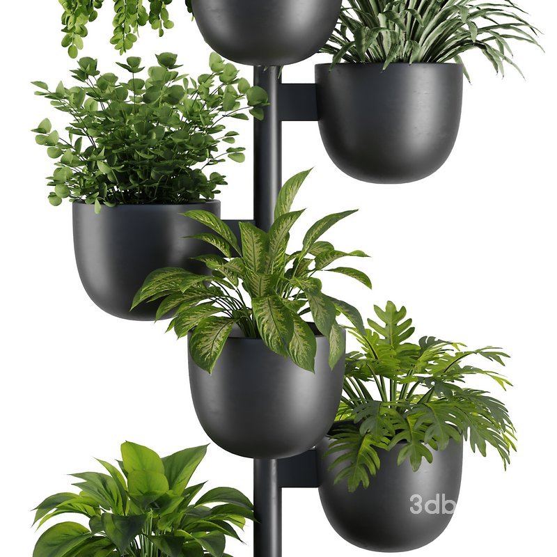 Indoor Plant Set V36 Image 3