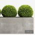 Boxwood Topiary Three Balls - Thumbnail 3
