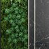 Green Wall – Vertical Garden Set1 - Thumbnail 2