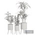 Indoor Plant Set V3 - Thumbnail 3