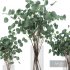 Eucalyptus Bouquet Set1 - Thumbnail 3