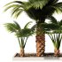 Palm Tree Set1 - Thumbnail 3