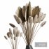 Decorative Dry Pampas Bouquet - Thumbnail 3