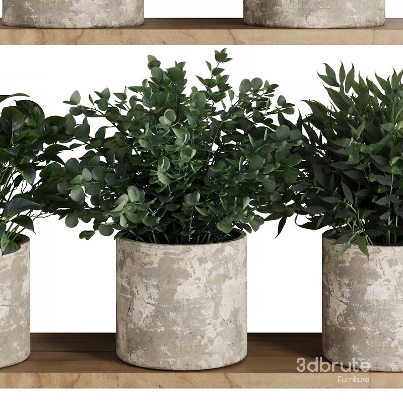 Plants on Shelf SetV5 Image 3