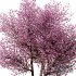 Spring Tree SetV1 - Thumbnail 3
