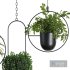 Hanging Indoor Plant – SetV1 - Thumbnail 3