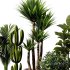 Indoor Plant SetV17 – Cactus Palm Ficus - Thumbnail 3