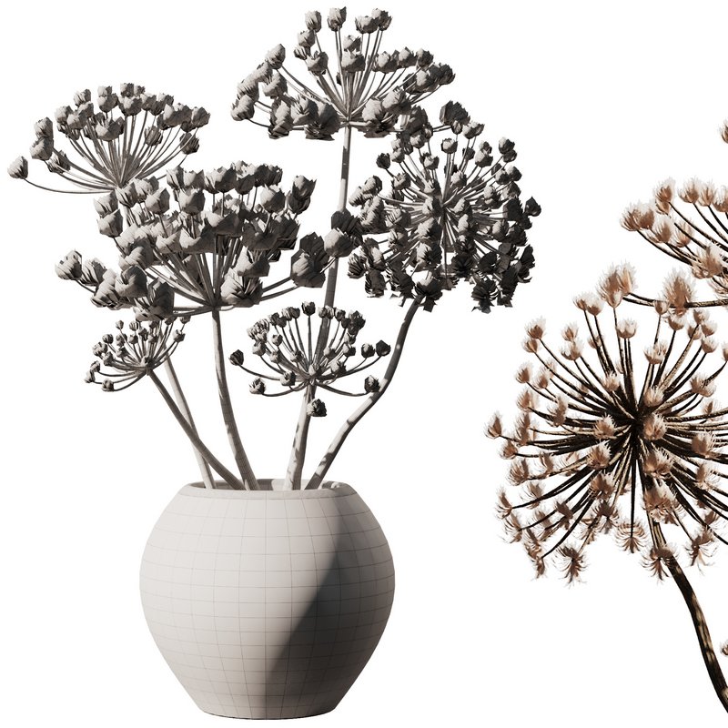 Dry Pampas in old pot Image 4