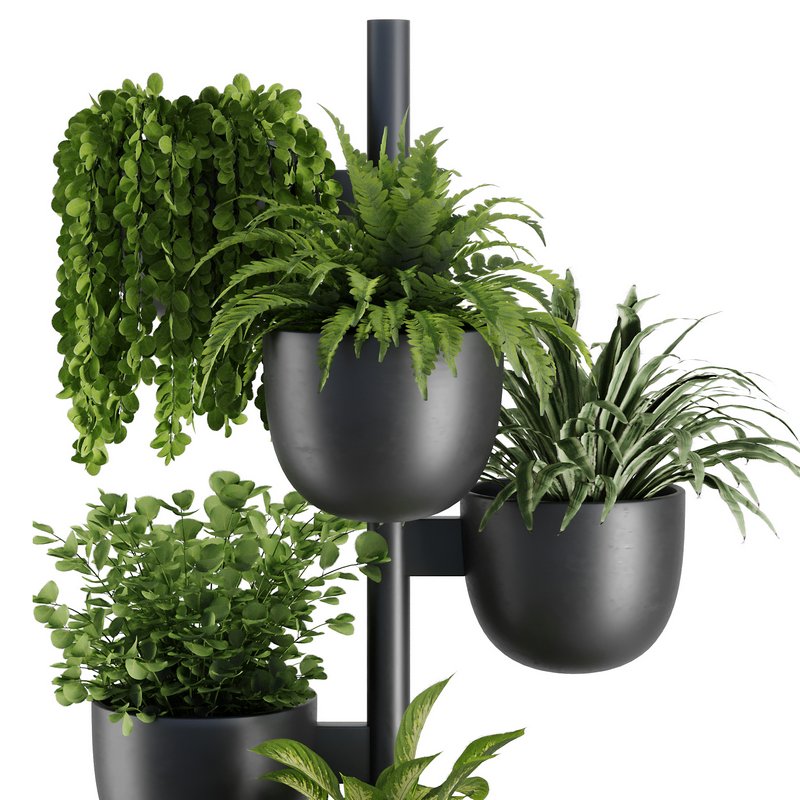 Indoor Plant Set V36 Image 4