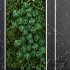 Green Wall – Vertical Garden Set1 - Thumbnail 3