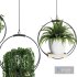 Hanging Indoor Plant – SetV2 - Thumbnail 4
