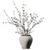 Dry Branches in black pot - Thumbnail 4
