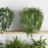 Plants on Shelf SetV3 - Thumbnail 4