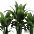 Indoor Plant SetV29 – Paradise - Thumbnail 4