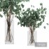 Eucalyptus Bouquet Set1 - Thumbnail 4