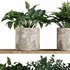 Plants on Shelf SetV5 - Thumbnail 5