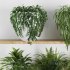 Plants on Shelf SetV3 - Thumbnail 5