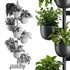 Indoor Plant Set V36 - Thumbnail 5