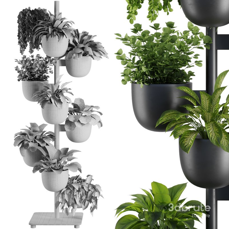 Indoor Plant Set V36 Image 5