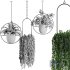 Hanging Indoor Plant – SetV1 - Thumbnail 5