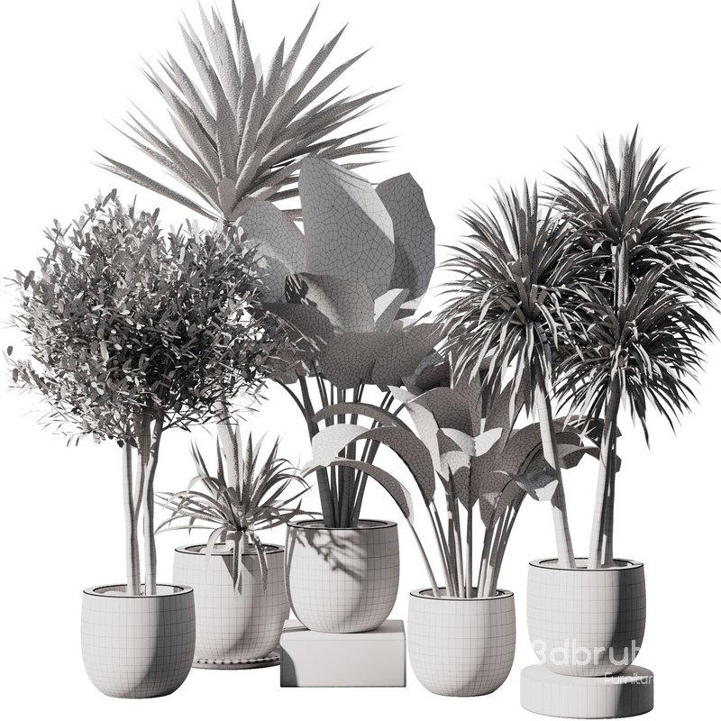 Indoor Plant Set V35 Image 6