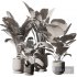 Indoor Plant Set V10_Paradise_Licuala_Howea - Thumbnail 5